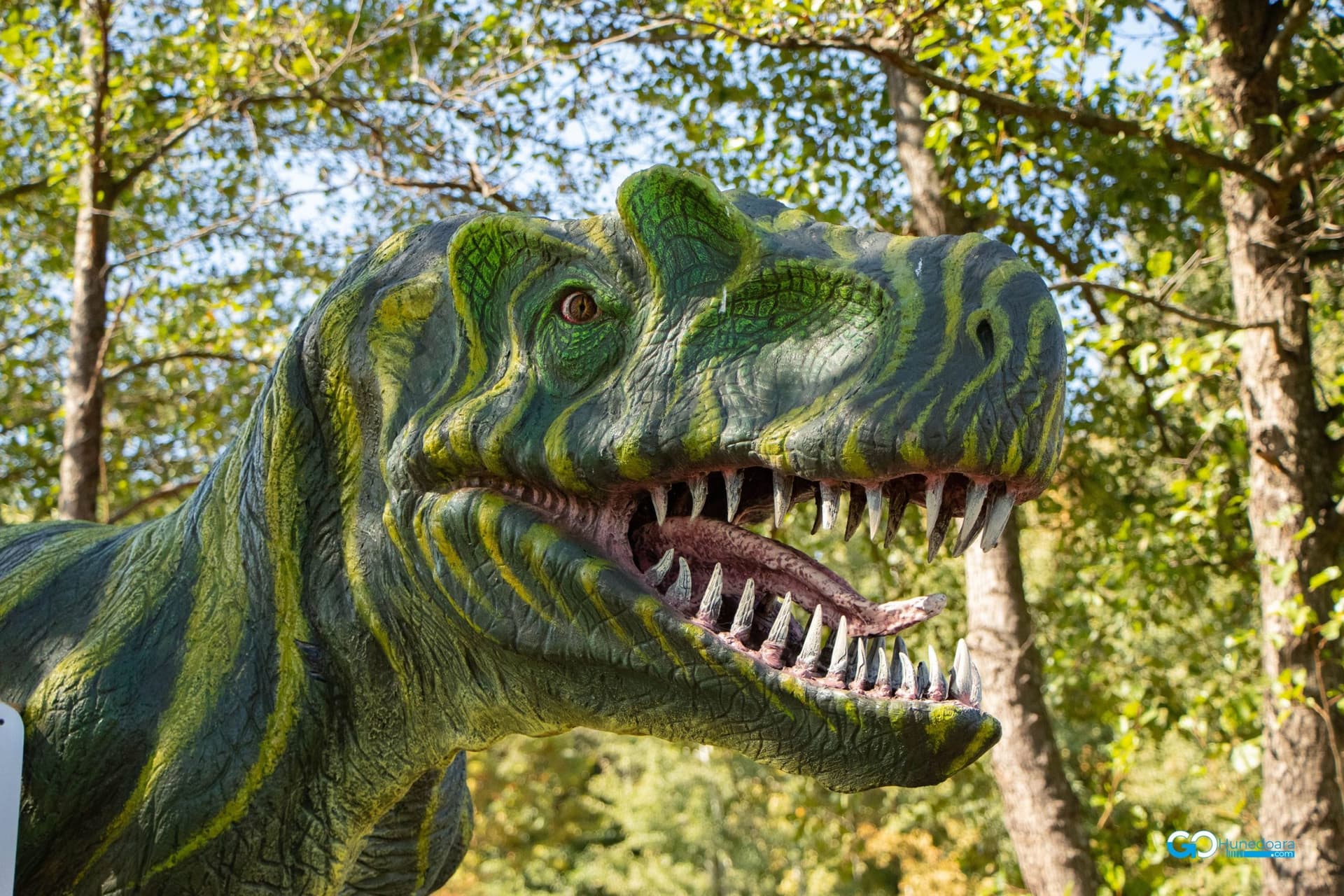 Dinosaur World Transylvania - Natural Site în Sibișel, Râu de Mori